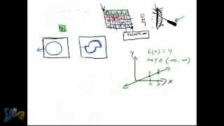 Celebrity Graphics Programming Introduction Wealth