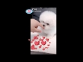 「絶対に笑う」あり得ないことをする犬★おもしろい犬のハプニング, 失敗画像集 #27