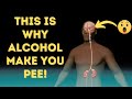 This is why alcohol make you pee 3d animation shorts