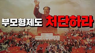 부모형제까지 다 잡아야했던 중국에 있었던 비극 (11분 순삭 ver.) #효기심74