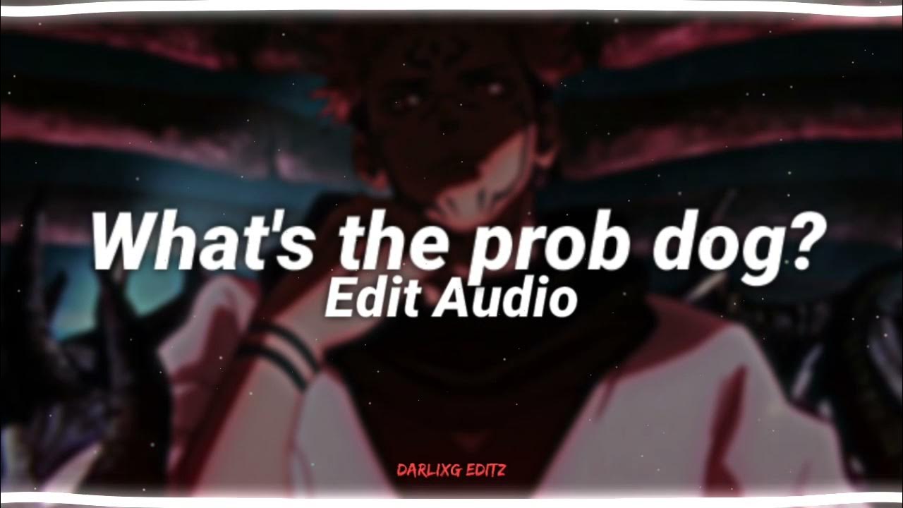 What's the prob dog тикток. Whats the prob dog let. Wisekids, ida corr - whats the prob dog. Whats the prob dog let. Whats the prob dog let.