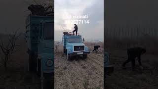 zil va gaz 53 xizmati Buloqboshi va Xoʻjaobod tumanlarda