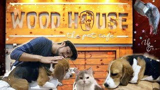 Best Pet Cafe in Kolkata | WOODHOUSE Pet Cafe