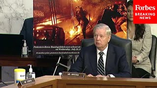 'How Many People Have Been Charged With The Portland Incident?': Graham Grills FBI Official On Riots