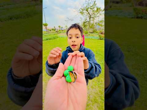 الفراشة الشقية مصممةتاكول المربيلا