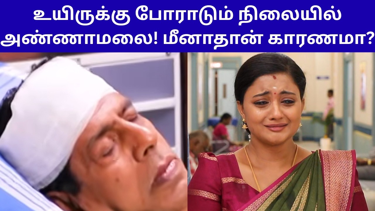 உயிருக்கு போராடும் நிலையில் அண்ணாமலை! மீனாதான் காரணமா? | SIRAGADIKKA AASAI SERIAL REVIEW
