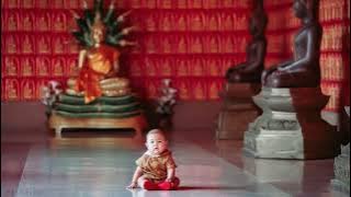 GẶP MẸ TRONG MƠ  - Hòa Tấu Đàn Tranh | NHẠC HOA KHÔNG LỜI