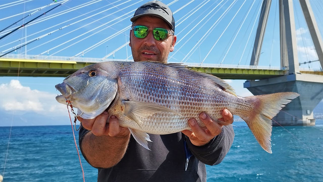 ΨΆΡΕΜΑ από ΑΚΤΉ καί ΒΆΡΚΑ με 2 ημέρες διαφορά 🔥 HEAVY CASTING καί ΖΟΚΑ με ζωντανή σουπιά.