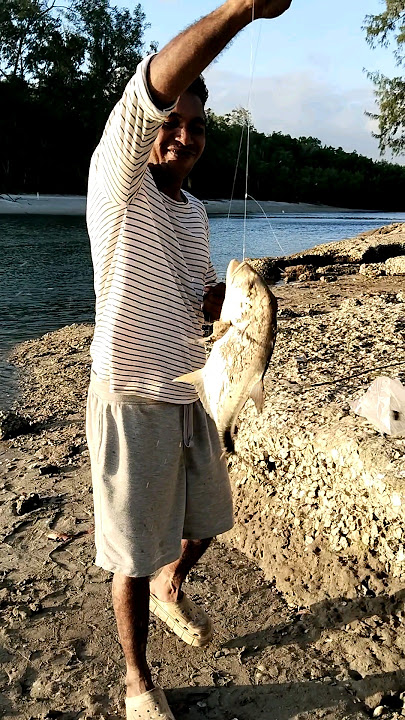 bangun tidur langsung sarapan pagi dengan  ikan Bubara #fishing