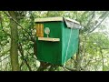 Пчеловодство с нуля  Как я ловил пчелиные рои