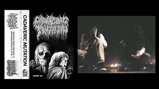 Cadaveric Mutation - St Demo 2024