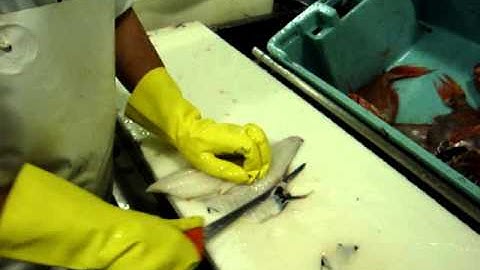 How To Fillet Orange Roughy - by Dean Grooby Knifetechnz Ltd