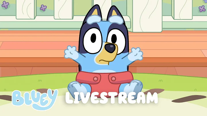 LIVE: BLUEY FULL EPISODES LIVESTREAM