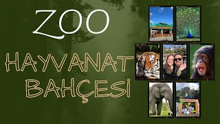 Hayvanat Bahçesi | Zoo, Maymunlar Cehennemi