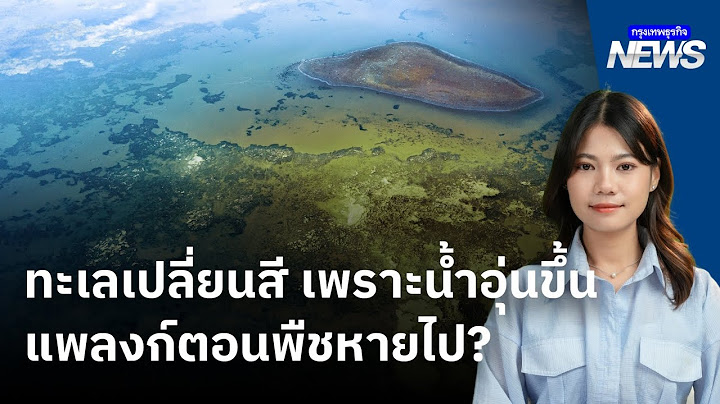“ทะเลเปลี่ยนสี” สัญญาณเตือนจากมหาสมุทรเมื่อแพลงก์ตอนหายไป | กรุงเทพธุรกิจNEWS
