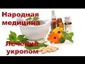 Лечение укропом