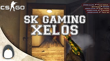 CS:GO - SK Xelos SICK Usp Ace