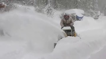 Cub Cadet 1650 QA42A Throwing January Deep Snow