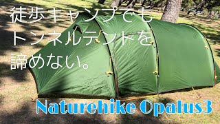 【夫婦徒歩キャンプ】ネイチャーハイク Opalus3 初張りチャレンジ！【浜寺公園】Naturehike トンネルテント