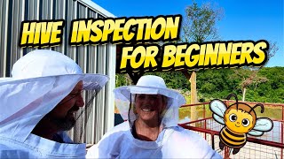 Beekeeping Secrets: Basic Hive Inspection Tips