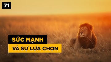 Sức mạnh và sự lựa chọn