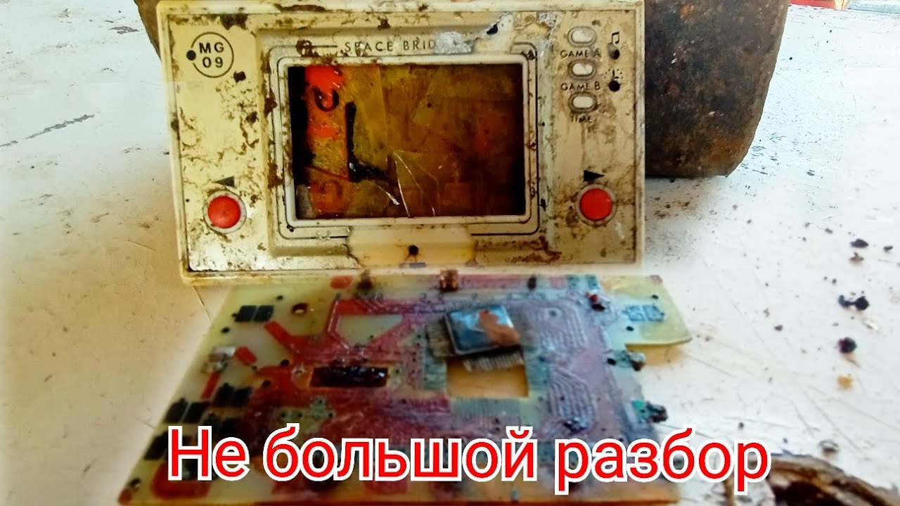 Гигантские разбор