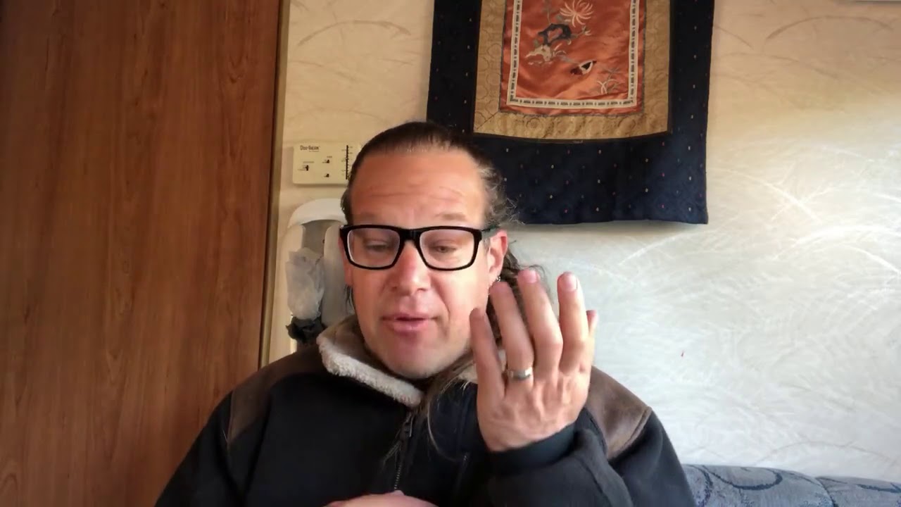 dog trainer in delhi Q&A with Jeff | Skype #206 Amber | Solid K9 Training Dog Training