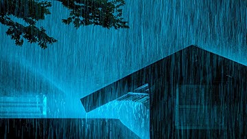 Overcome Insomnia with Heavy Rain & Deep Thunder on Old Tin Roof in the Foggy Murky Forest at Night