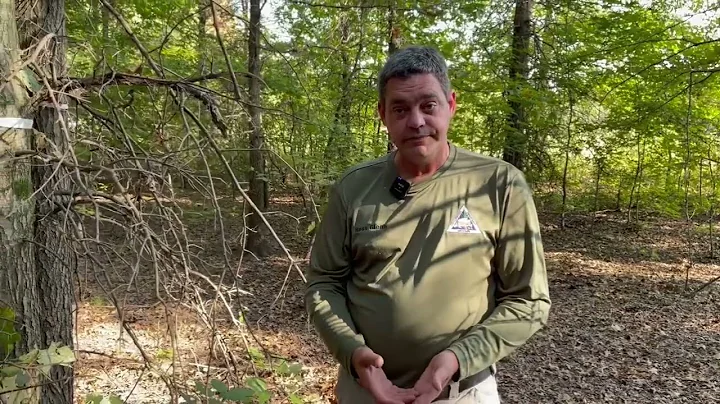 Habitat Hints: Timber Stand Improvement