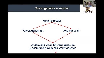 Taster Lecture When To Sleep and When To Eat Short Edit