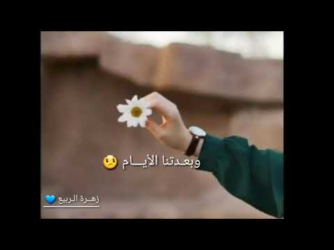 مين قال ان التلاقي لقى وسلام ف الأيد في قلوب بتحس بينا لو حتى من بعيد