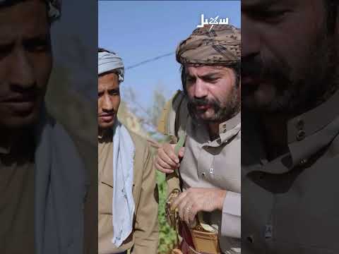 تهباش أبو ألف #الزوبعة