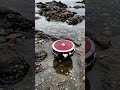 Robot Transformation into giant robot 1 Million #shorts #robot #trending #usa