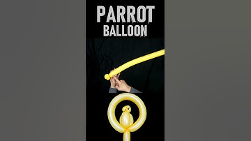HOW TO MAKE A PARROT / BIRD BALLOON ANIMAL! BEGINNER TUTORIAL