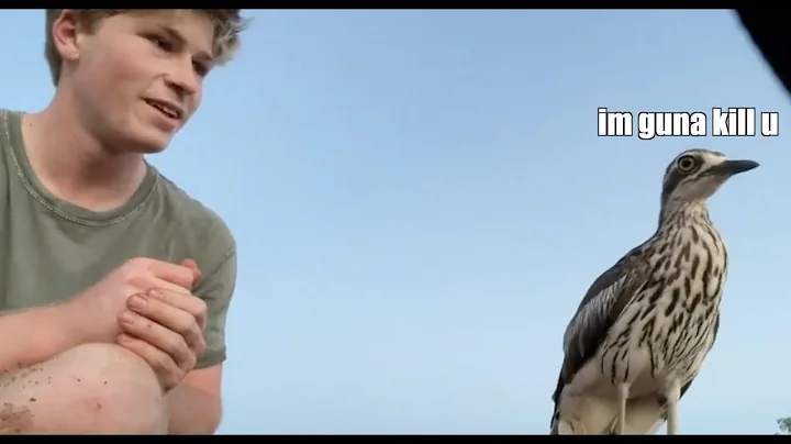 Robert Irwin vs Jerry