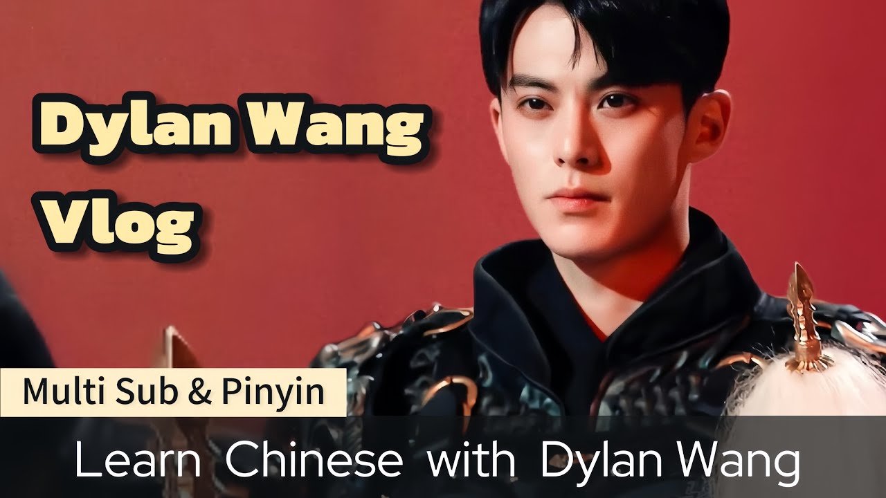 Дилан Ван Влог💯пройди тест на вождение, в ПЕРВЫЕ попробуй традиционный китайский день доспехов и бас