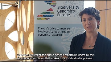 Biodiversity Genomics Europe (BGE): a Human Genome project for biodiversity
