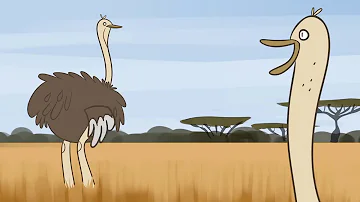 Почему не все птицы летают? [Ted Ed на русском]