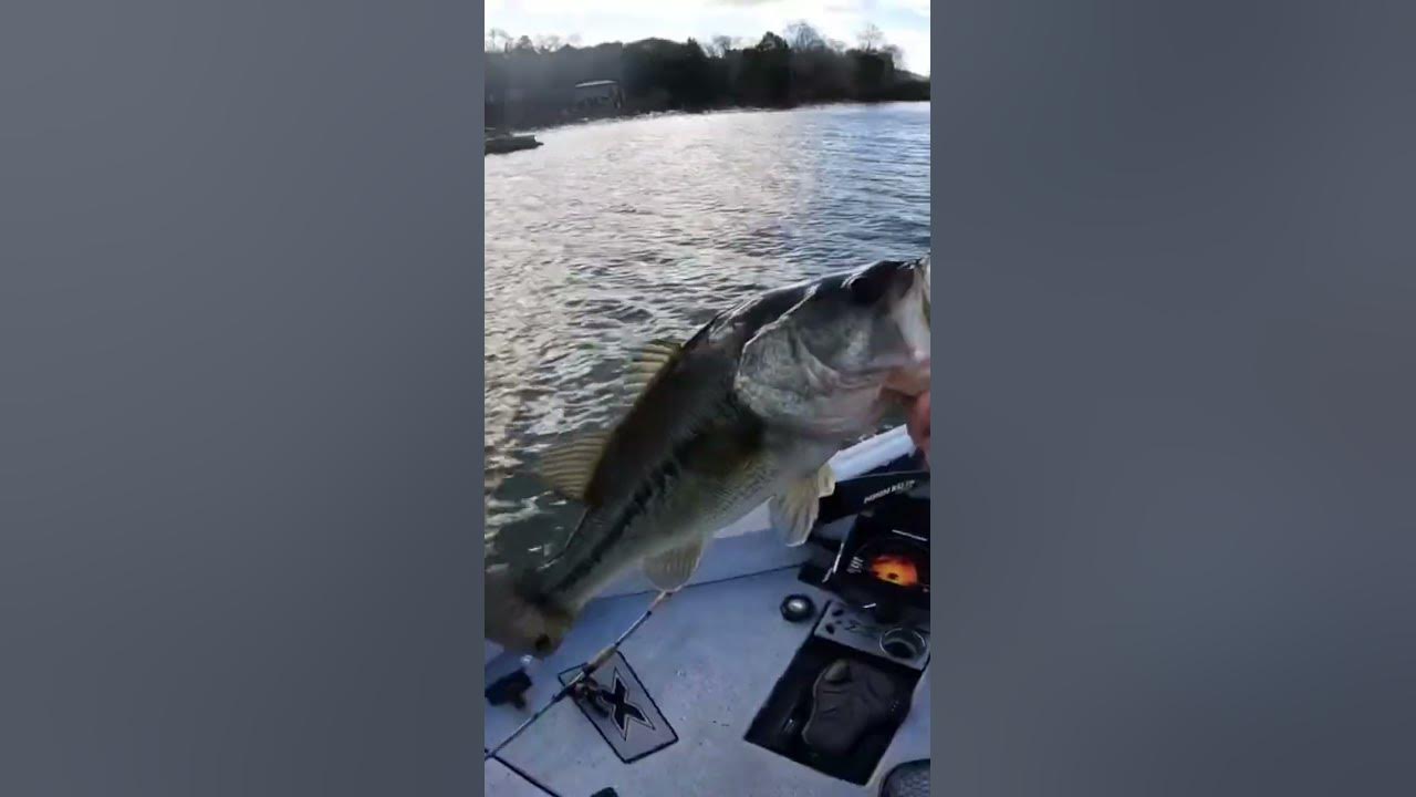 One of the BEST Winter Time Bass Bites! YouTube