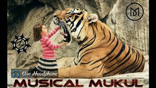 Benjo Mix_Tiger Dance - Sher Baja (Dj Raja) || Musical Mukul