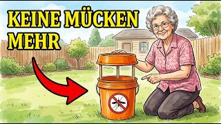 17 Wege, Um Jede Mücke In Ihrem Garten Zu Töten – Ohne Chemikalien, Ohne Giftstoffe