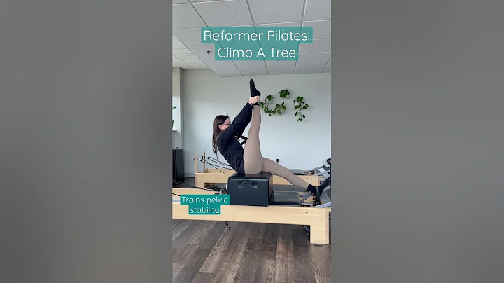 Reformer Pilates: Climb A Tree