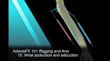 AdonisFX Tutorials 101 - Rigging an Arm - 15: Wrist abduction and adduction (version 1.4)