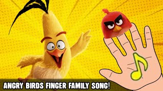 Angry Birds The Movie In Finger Family Song!