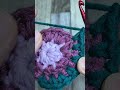 THIS GRANNY SQUARE IS A MUST-TRY FOR CROCHET LOVERS #short #grannysquare