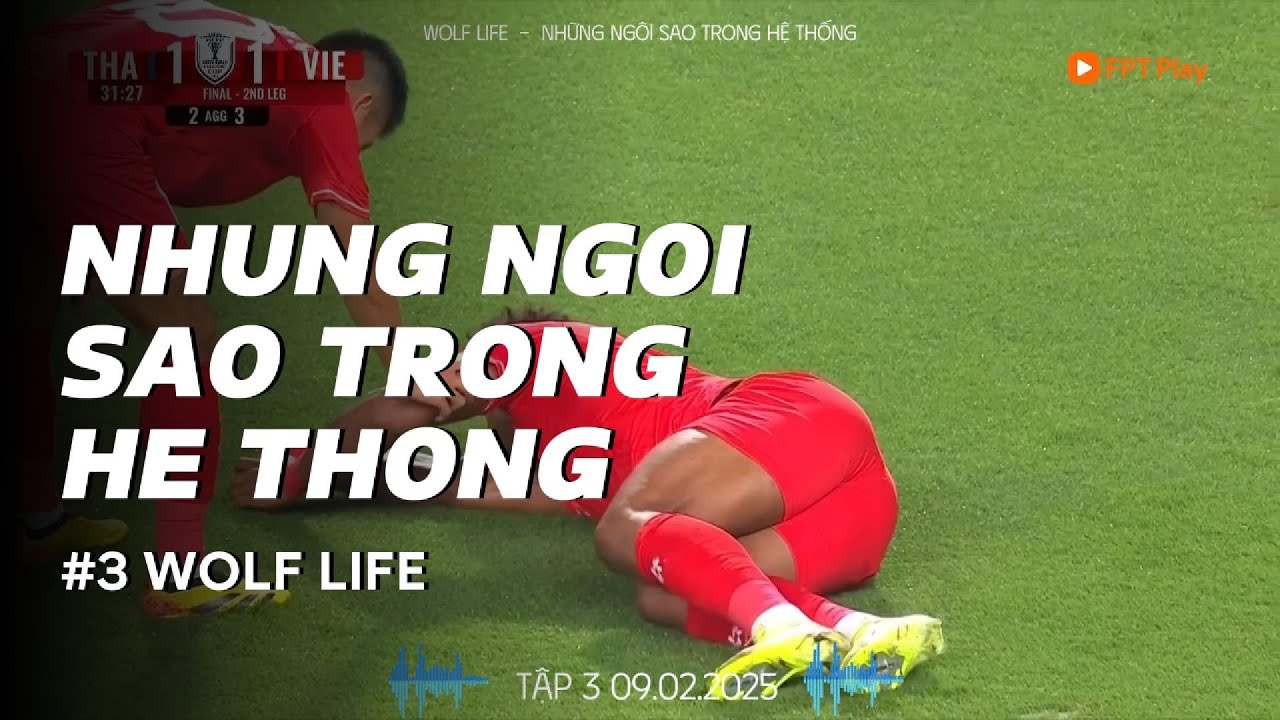 [TẬP 3] NHỮNG NGÔI SAO TRONG HỆ THỐNG