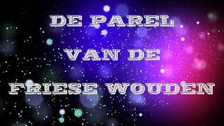 DE PAREL VAN DE FRIESE WOUDEN