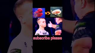 Flowerhorn Vs Oscar ytshort fish aquarium