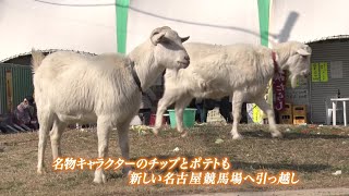 名古屋競馬場 どんこ最終日および弥富移転初日｜リポート動画｜NAR公式