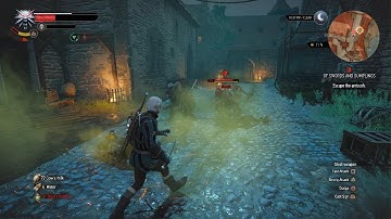 The Witcher 3: Playthrough Part 29 Of Swords and Dumplings